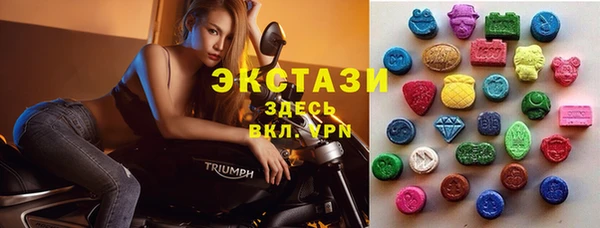 индика Каменск-Шахтинский