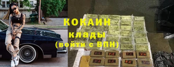 индика Каменск-Шахтинский