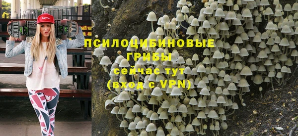 mix Карпинск