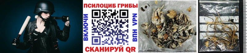 Псилоцибиновые грибы прущие грибы  Купить  Омутнинск 